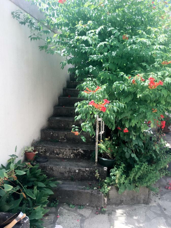 Le Muguet Bed and Breakfast Saint-Georges-sur-Cher Buitenkant foto